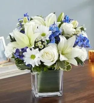 Daisies