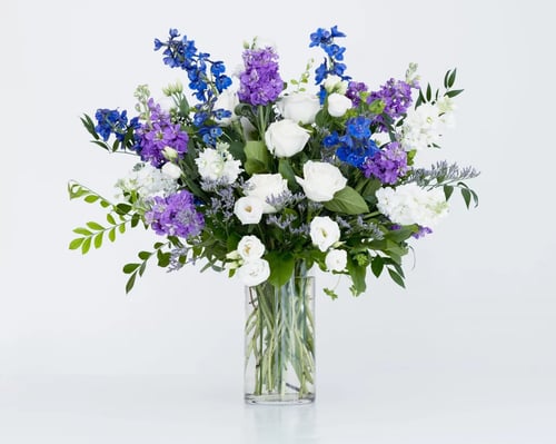 Delphinium