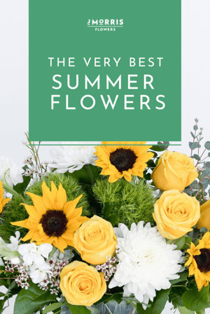 The Very Best Summer Flowers-Pinnable