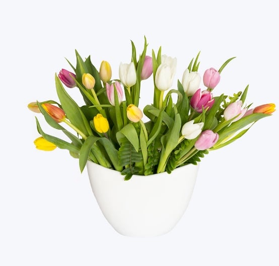 JMorris Florals_29