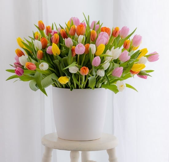 JMorris_Florals_43-40971