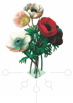 painted assortment of flowers painted assortment of flowers