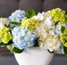 Hydrangea Lifestyle white vase vertical-1