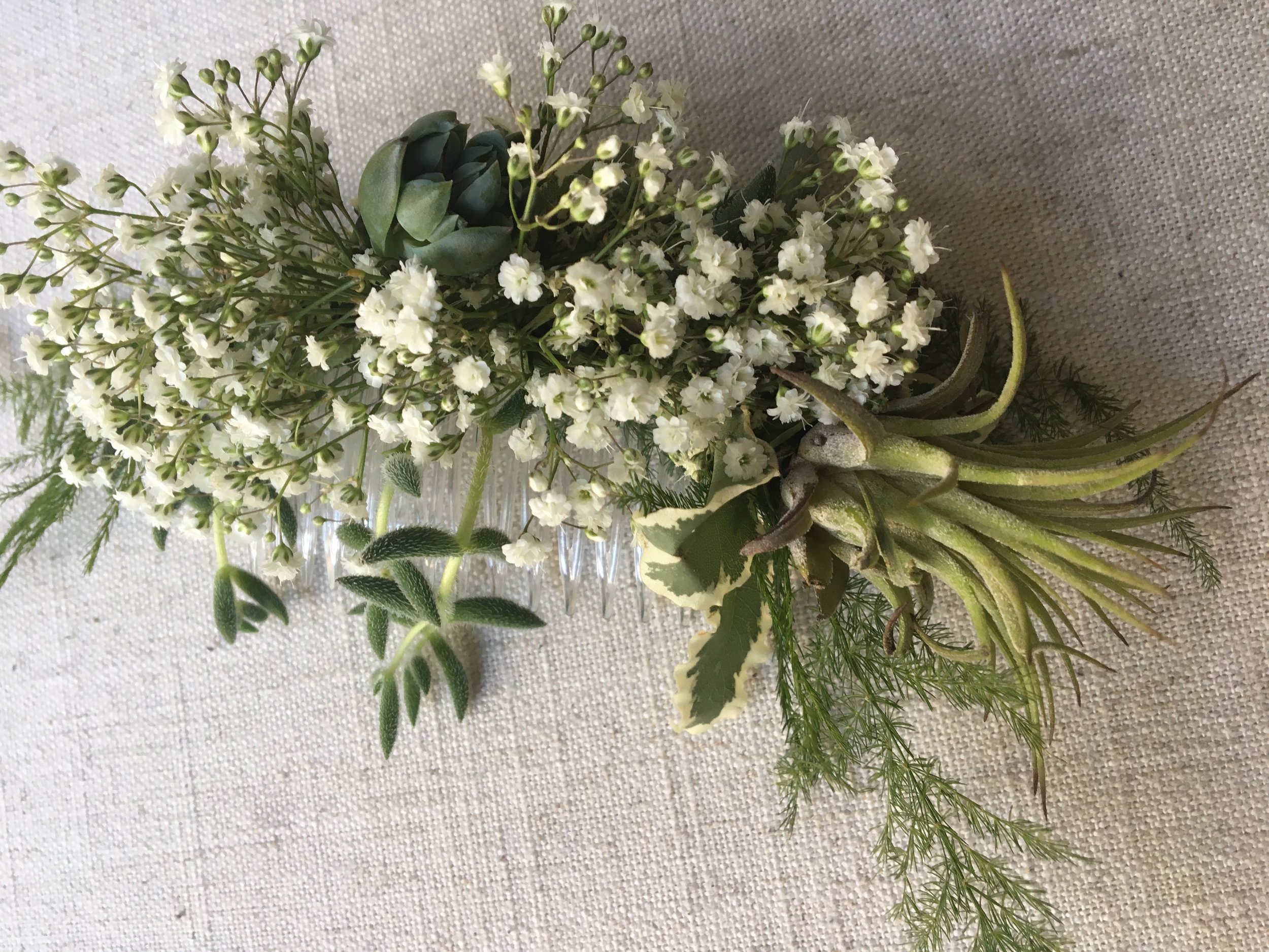 A hair comb with tiny Succulent, Air Plants, Fern and Baby's Breath.