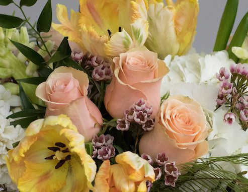 Roses and Parrot Tulips hint at “Living Coral” in this J. Morris Flowers every day floral design for Spring.