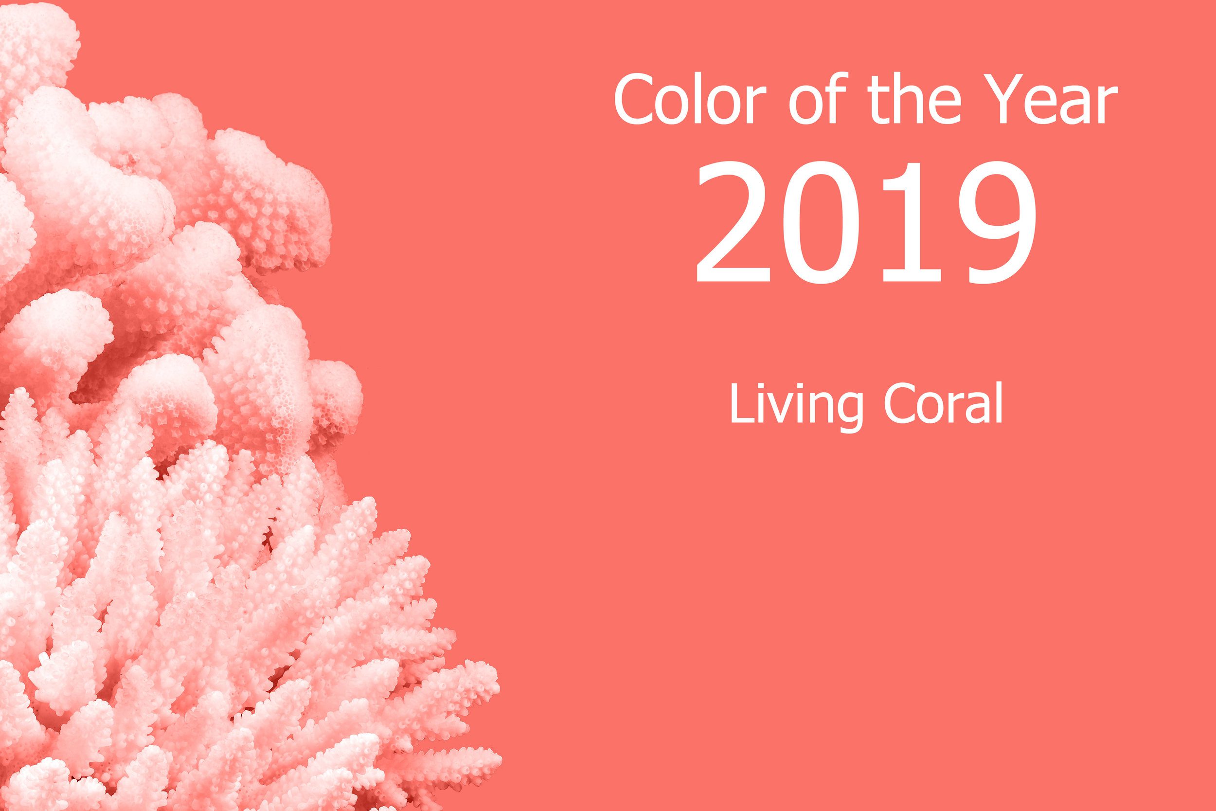 Pantone Color of The Year 2019: Living Coral