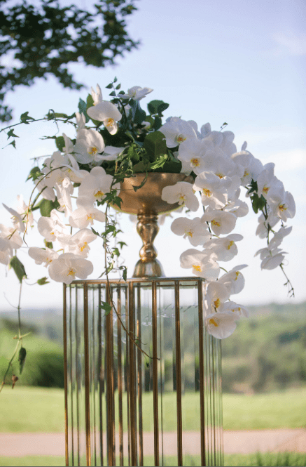 Phaleonopis Orchids in a gold compote on a glass and gold stand flank the officiant. Kristen Gardner Photography.
