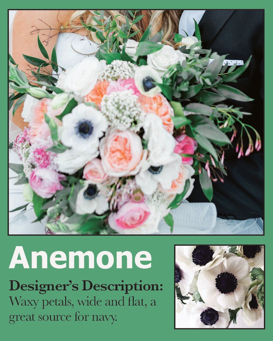 Card-Anemone.jpg