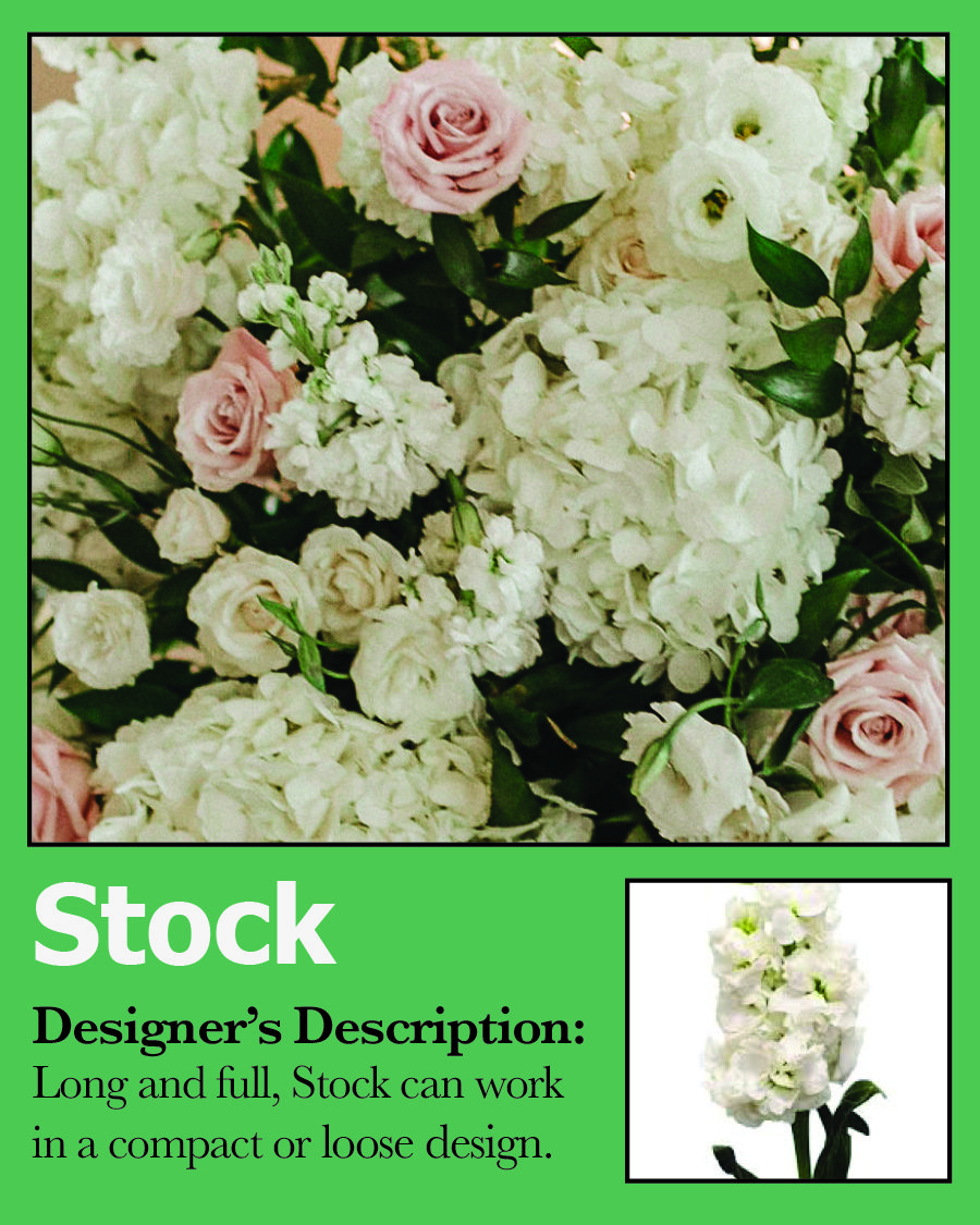 Card-Stock-white-flower-wedding.jpg