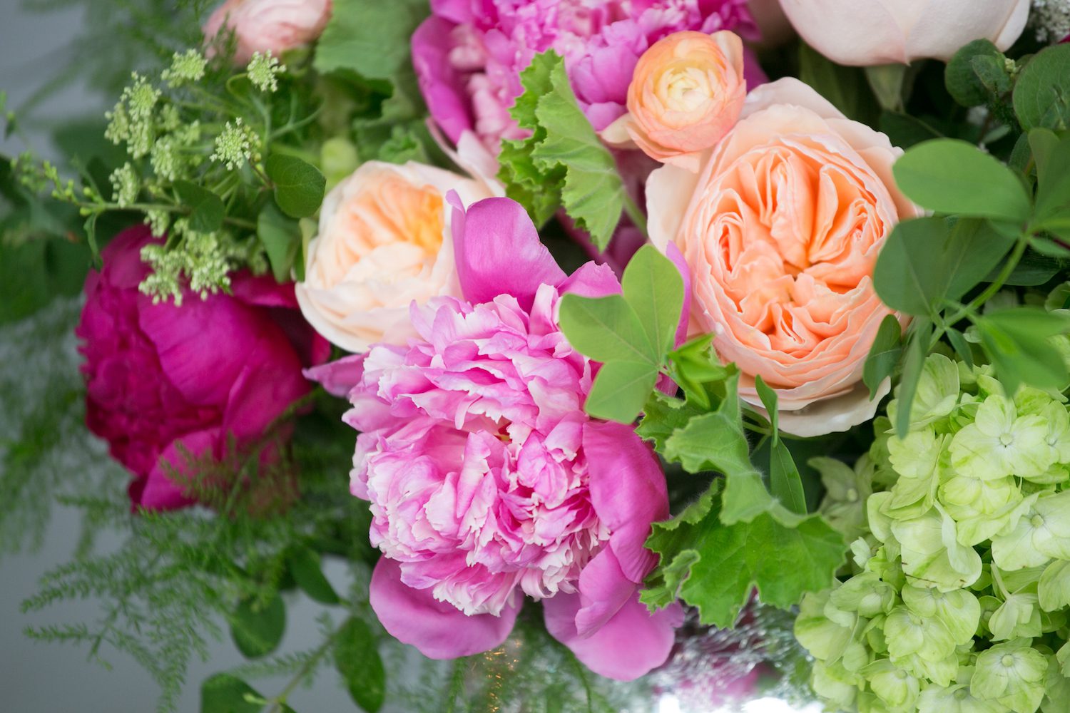 Peony and Juliet Garden Rose