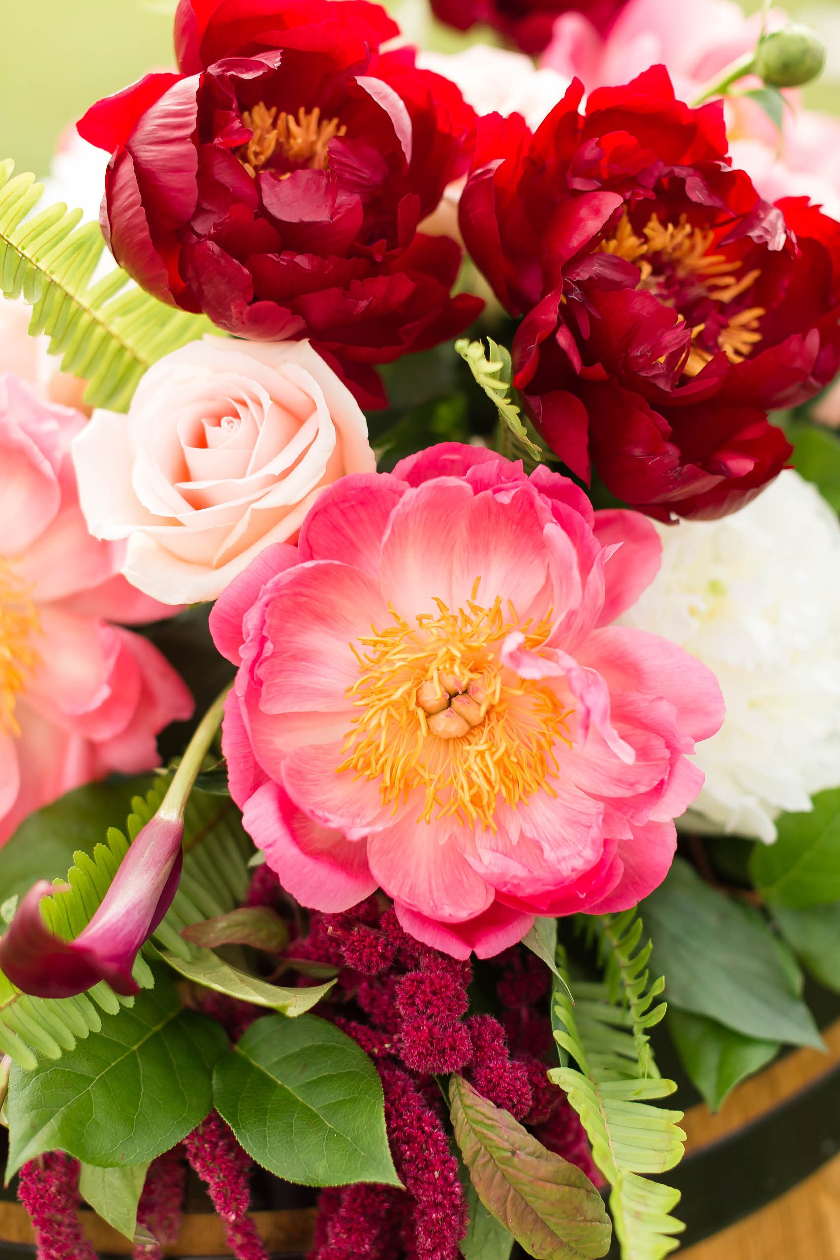 Nunley-Adele-close-up-flowers.jpg