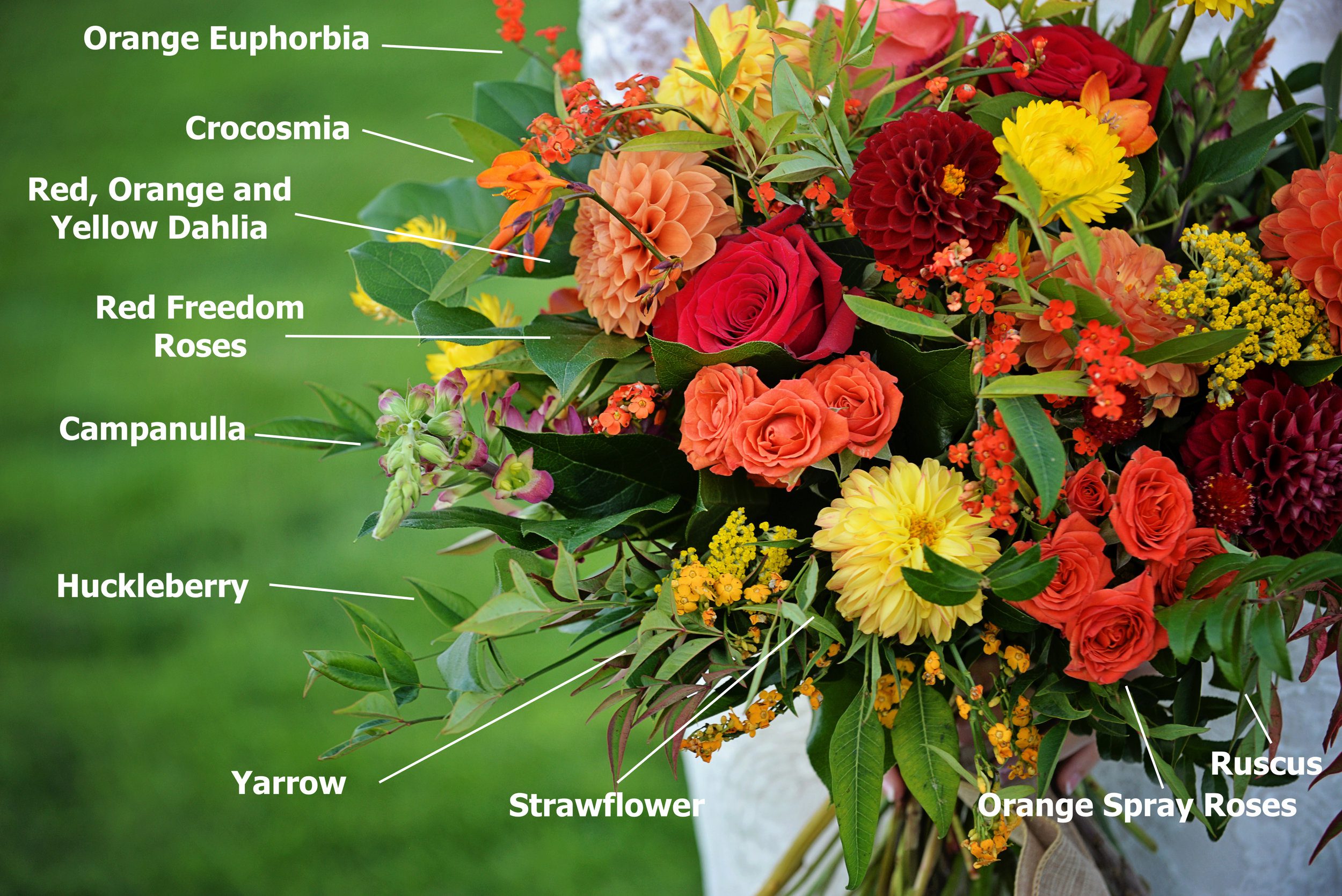 Some of the unique florals from Susie's bouquet.