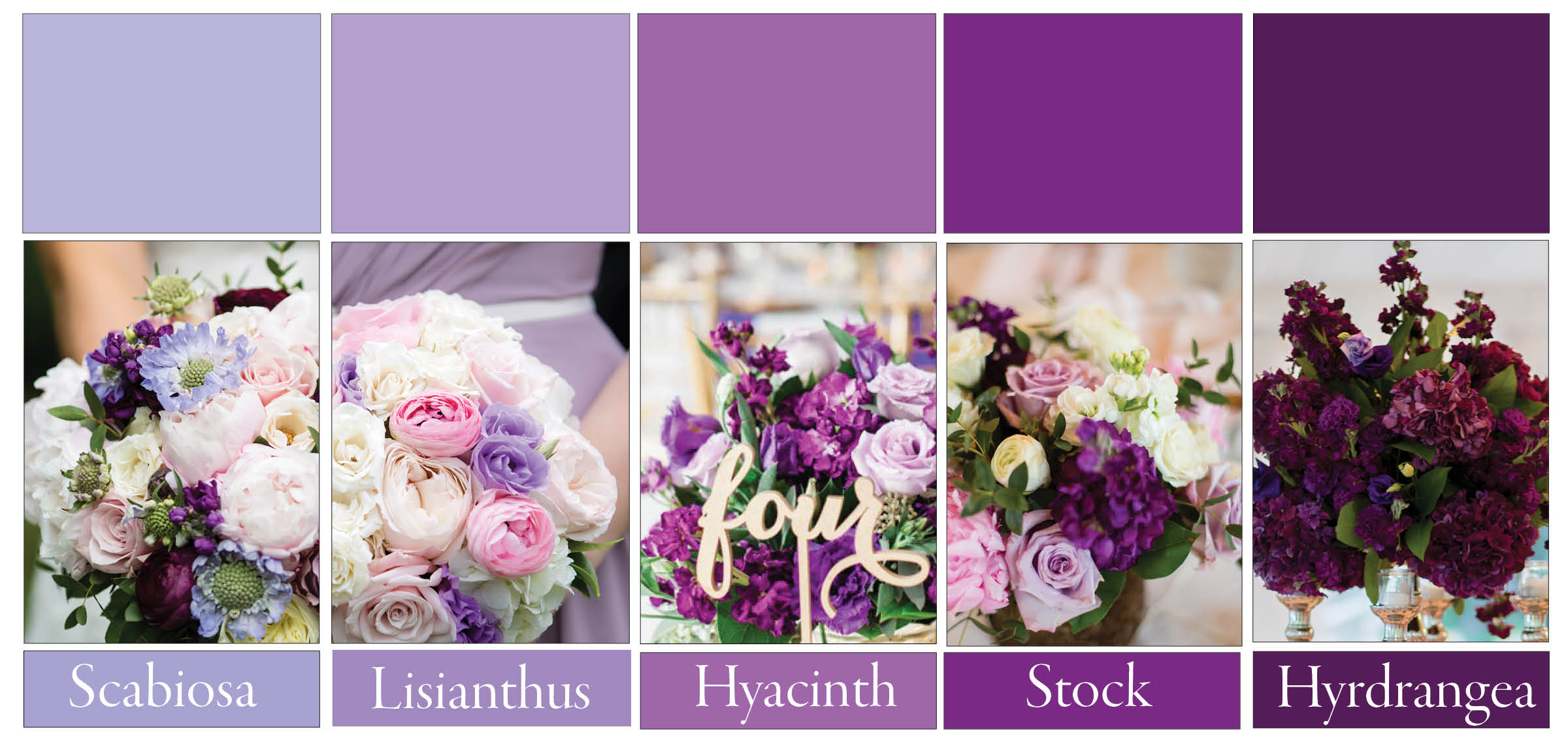 We are making a lot of purple wedding florals in 2017. Lavender, purple and plum to be exact. Here are some varieties you can choose. Lepold, Ewell, Birds of a Feather and Tony O'Dell Photography.