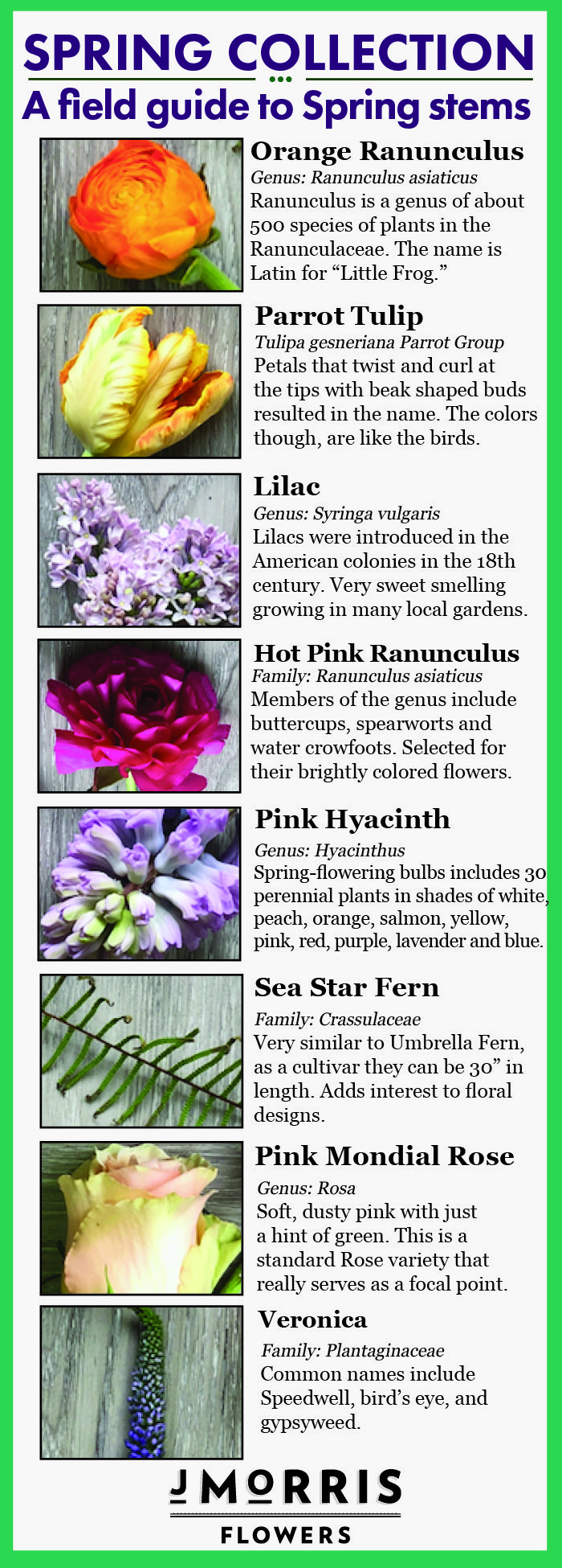 Spring18-flower-guide.jpg