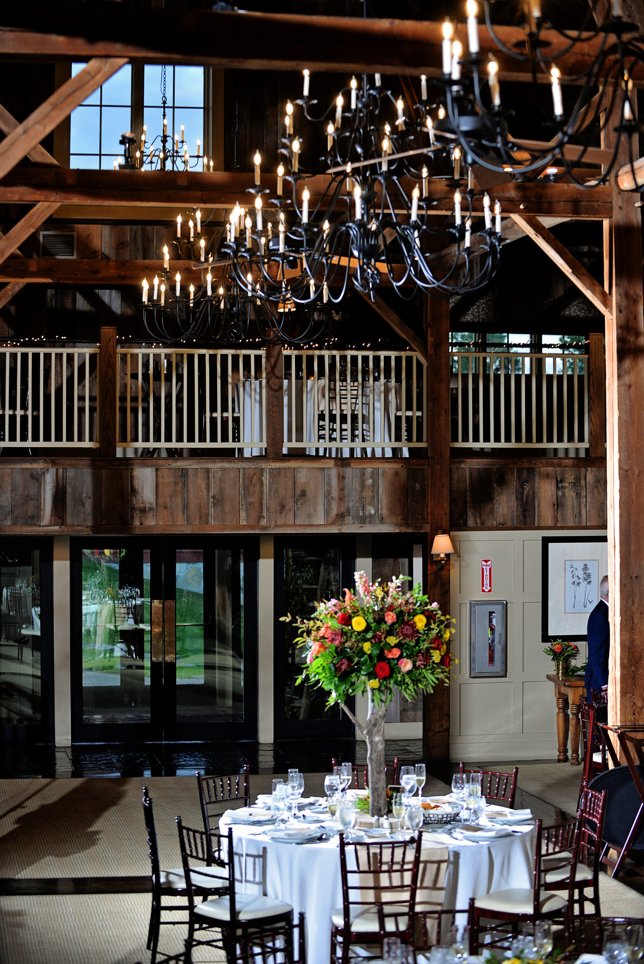 Susie-Jill-Barn-inside-tree.JPG