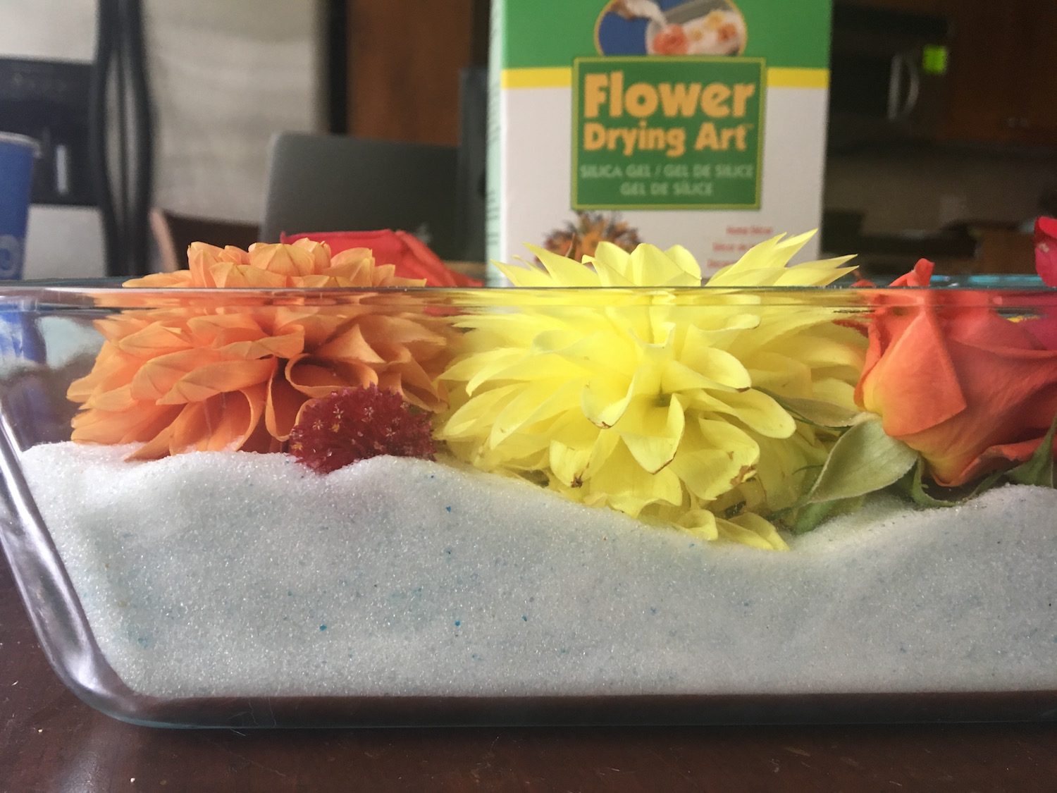Activa Flower Drying Art Silica Gel