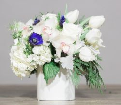 J. Morris Flowers Winter Collection