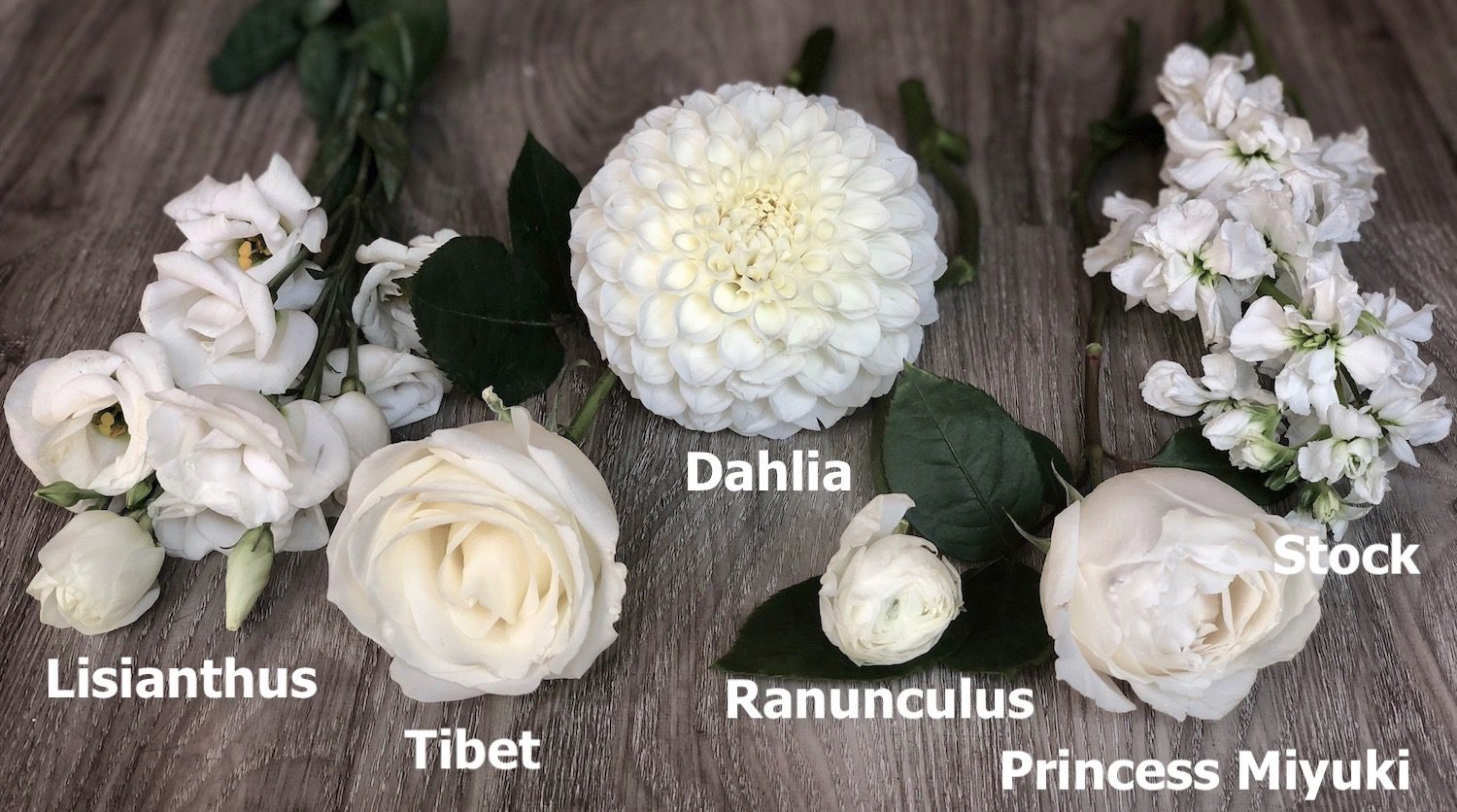 A few of the flowers that we like to use when we are designing weddings with white florals.