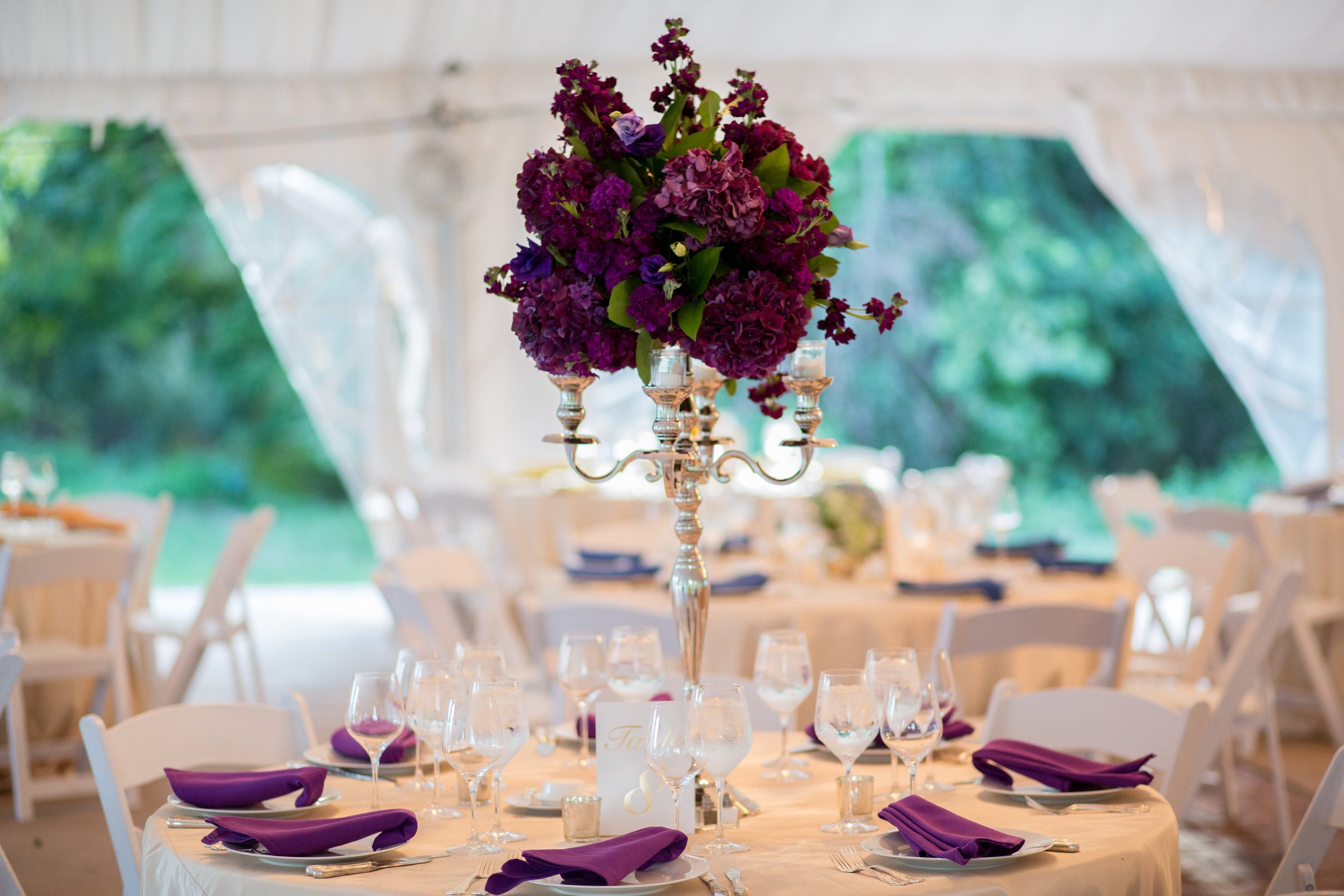 Single color floral looks luxurious at Oatlands Historic Gardens, Virginia. Photography by Tony J.