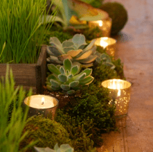 centerpiece-natural-candle-votive