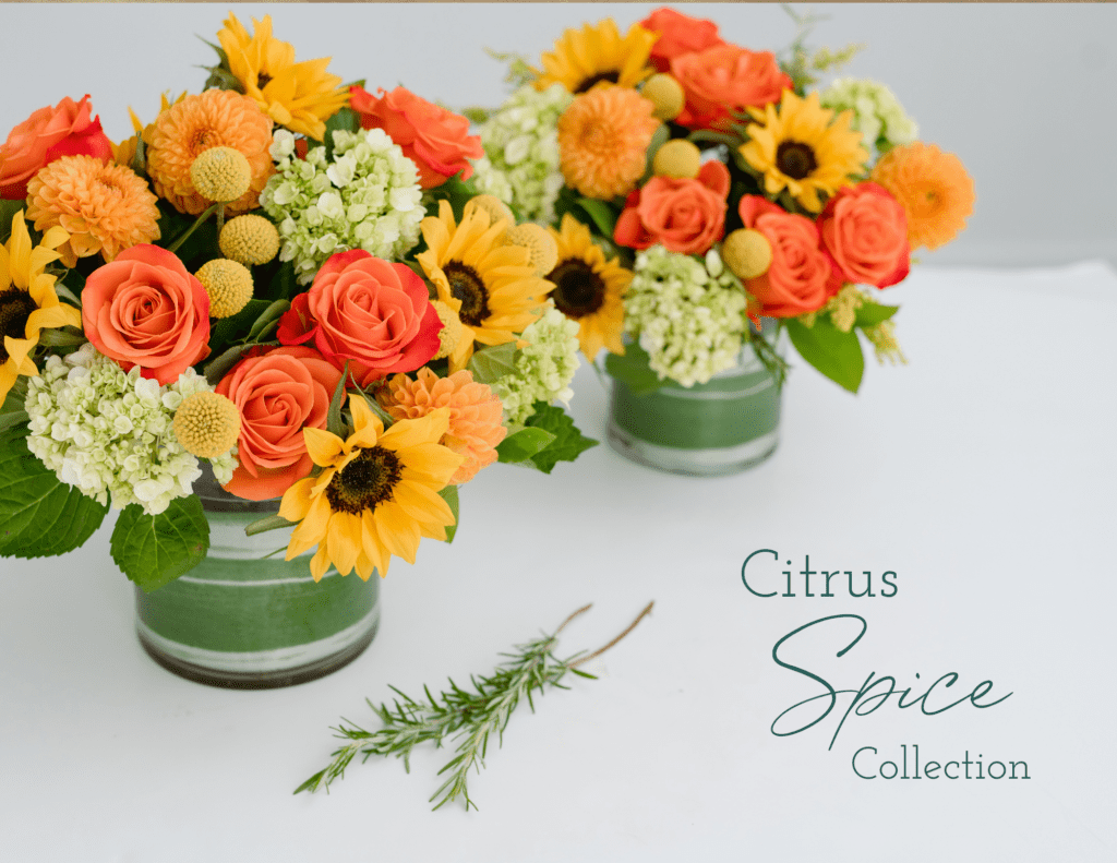 Citrus Spice Collection