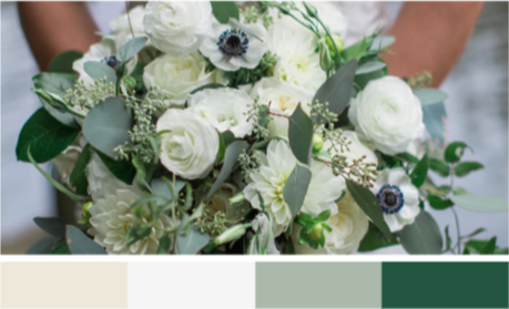 choose-color-two