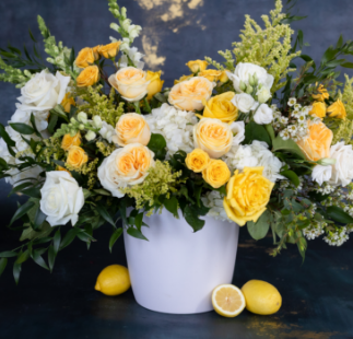 Limoncello-Hero-signature-size