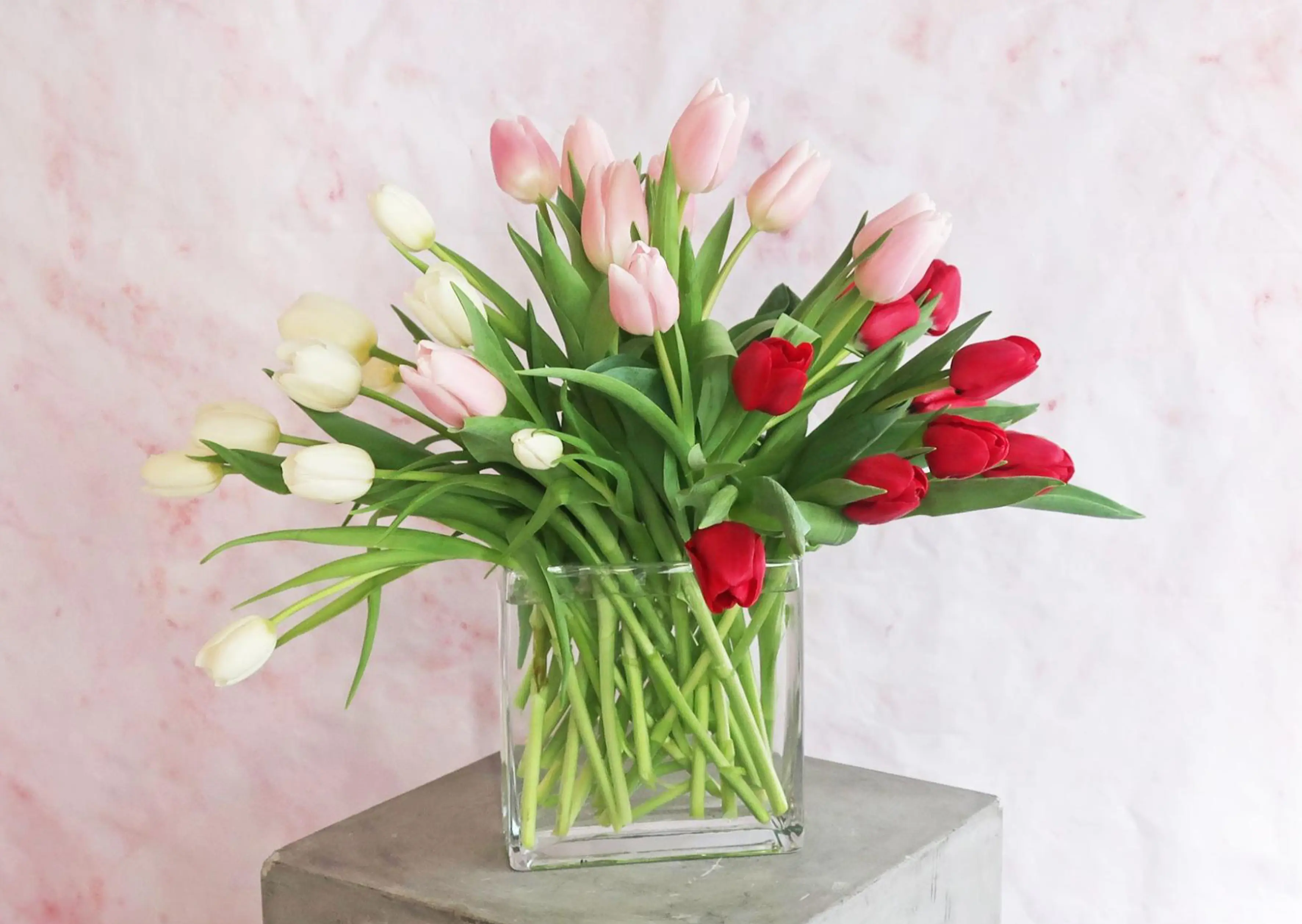 J. Morris Flowers - Confetti Tulips