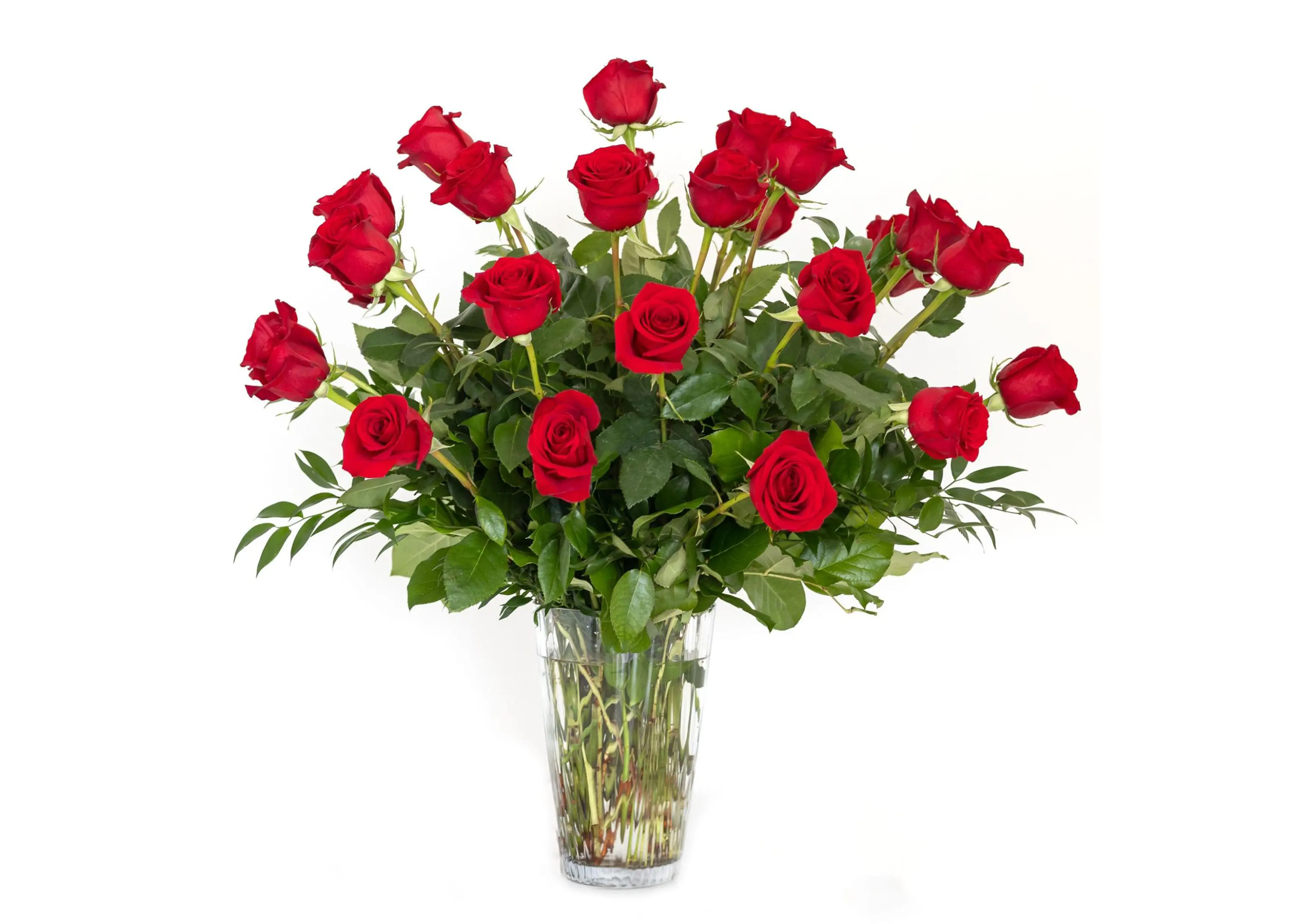J. Morris Flowers - Two Dozen Roses